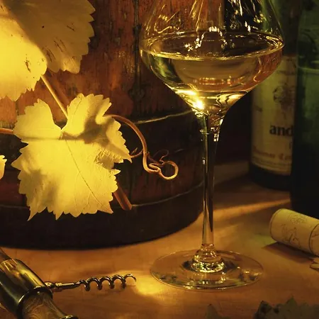 Maison De Centre Διαμέρισμα *