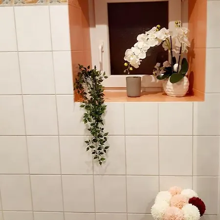 Maison De Centre Apartment Selestat